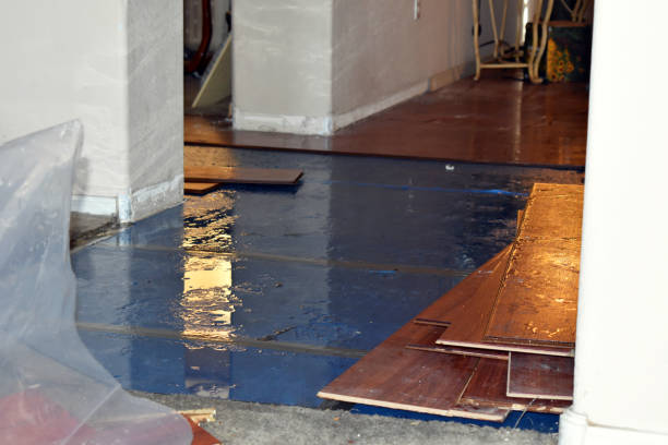 Professional Water Damage Restoration technician working in Anderson Island, WA